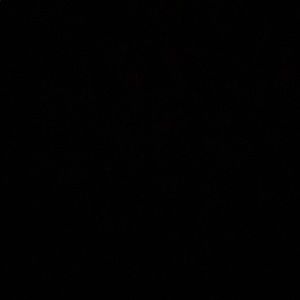 Meet your Posher, Megann